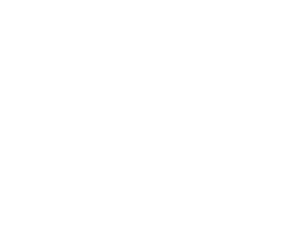 Siro Master Of Paints